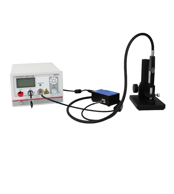 raman measurement system
